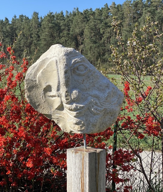 Zweigesicht -Jurakalksandstein